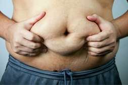 Жировые прослойки во внутренних органах расщепляются с TwinsFit.