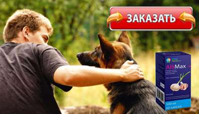 Аллимакс купить в аптеке.
