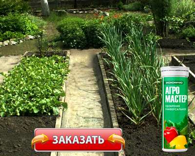 Удобрение Агромастер купить по доступной цене.