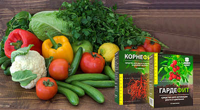 kornefit-i-gardefit-dlya-urozhaynosti